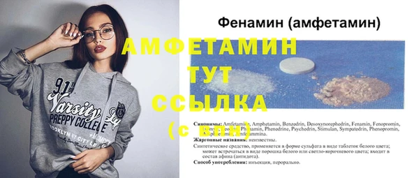 шишки Абаза
