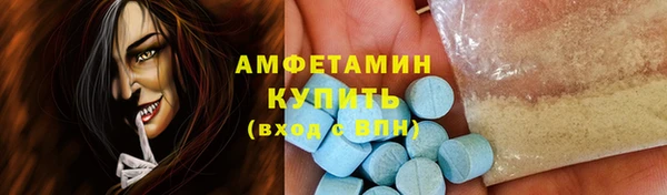 шишки Абаза