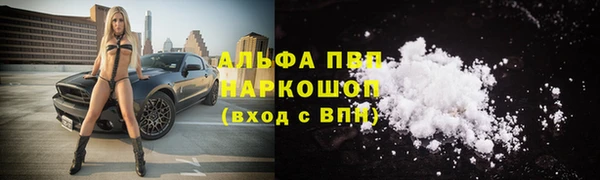 шишки Абаза