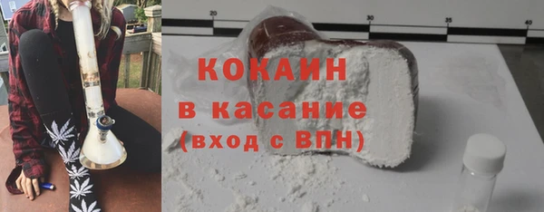 шишки Абаза