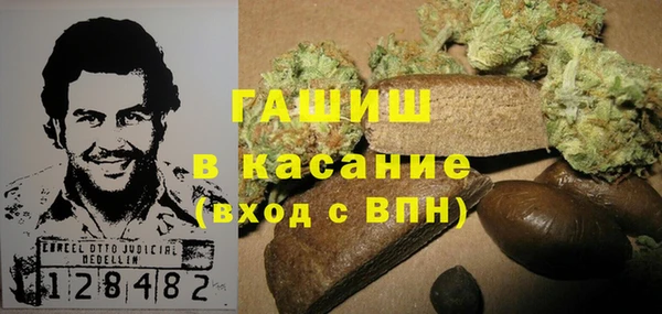 шишки Абаза