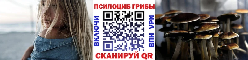 дарнет шоп  shop Telegram  Галлюциногенные грибы прущие грибы  Терек 