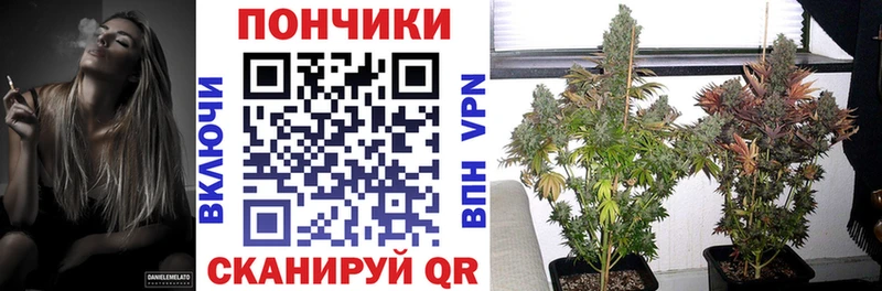как найти   Терек  МАРИХУАНА тримм 